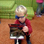 phoca_thumb_m_motlci 37 Fotogalerie